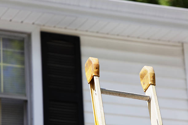 Best Custom Trim and Detailing for Siding  in Bridge City, TX